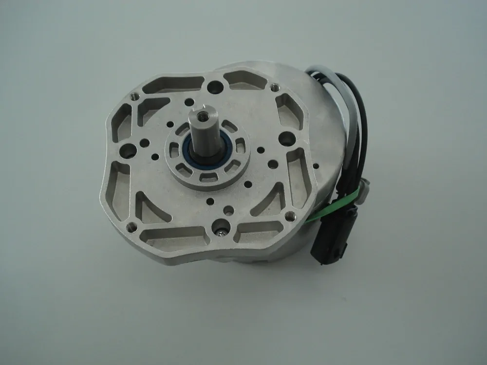 motor kartáče, disk 36V 350RPM PM 1204356